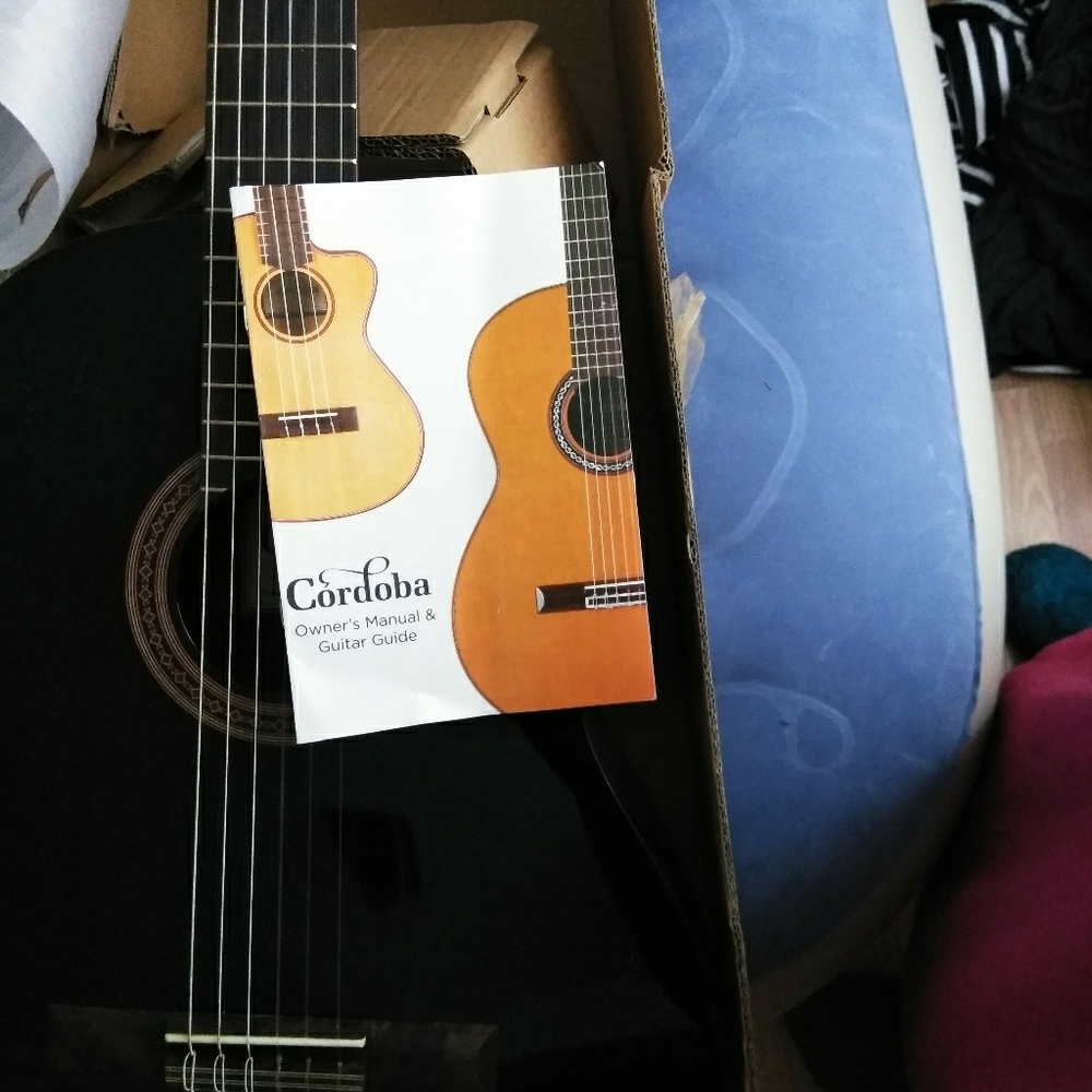 Aquostic brand new guitar, MaxMara shoulder bags